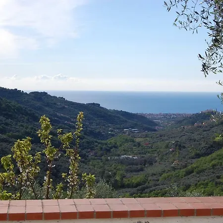 Lupo Solitario * Roncagli