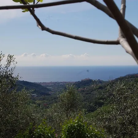 Lupo Solitario * Roncagli