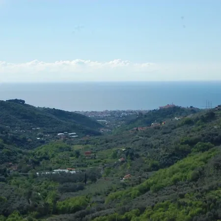 Lupo Solitario *
