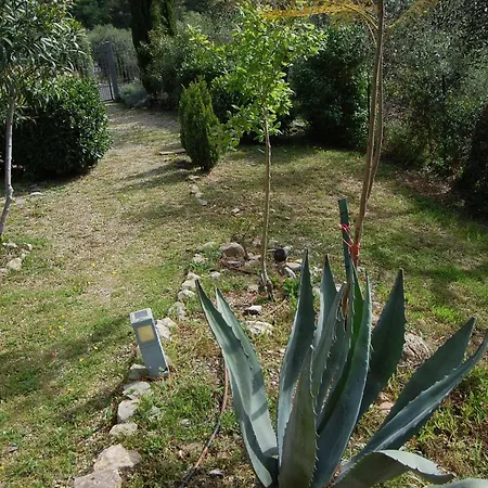 Feriehus Lupo Solitario