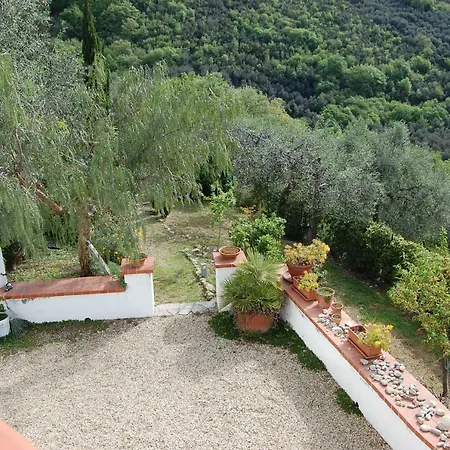 Lupo Solitario Feriehus Roncagli