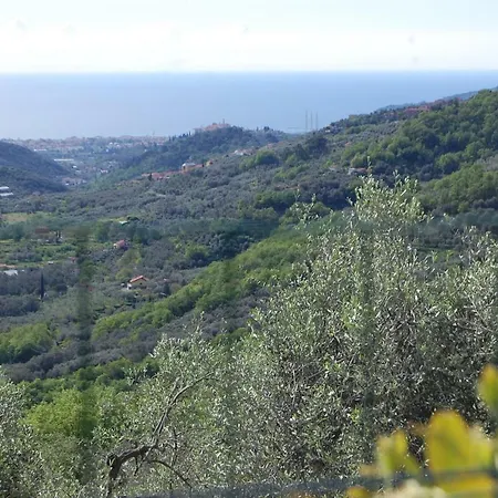 Lupo Solitario